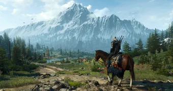 Witcher 3 Multiplayer Reboot
