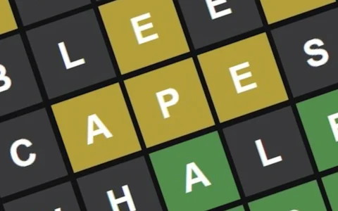 Wordle New