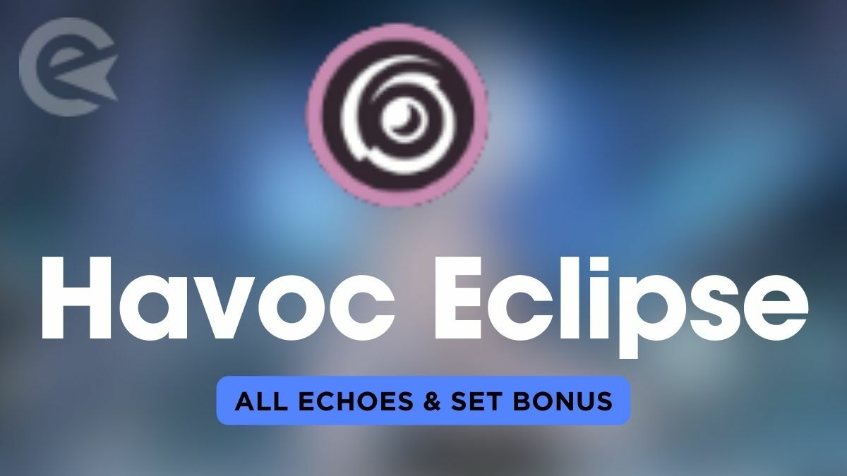 Wuthering Waves Havoc Eclipse Echo Set