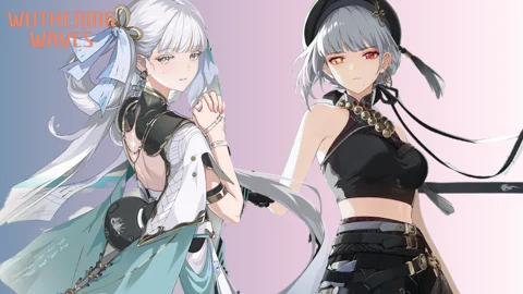 Wuthering Waves Jinhsi and Sanhua Skins Leak
