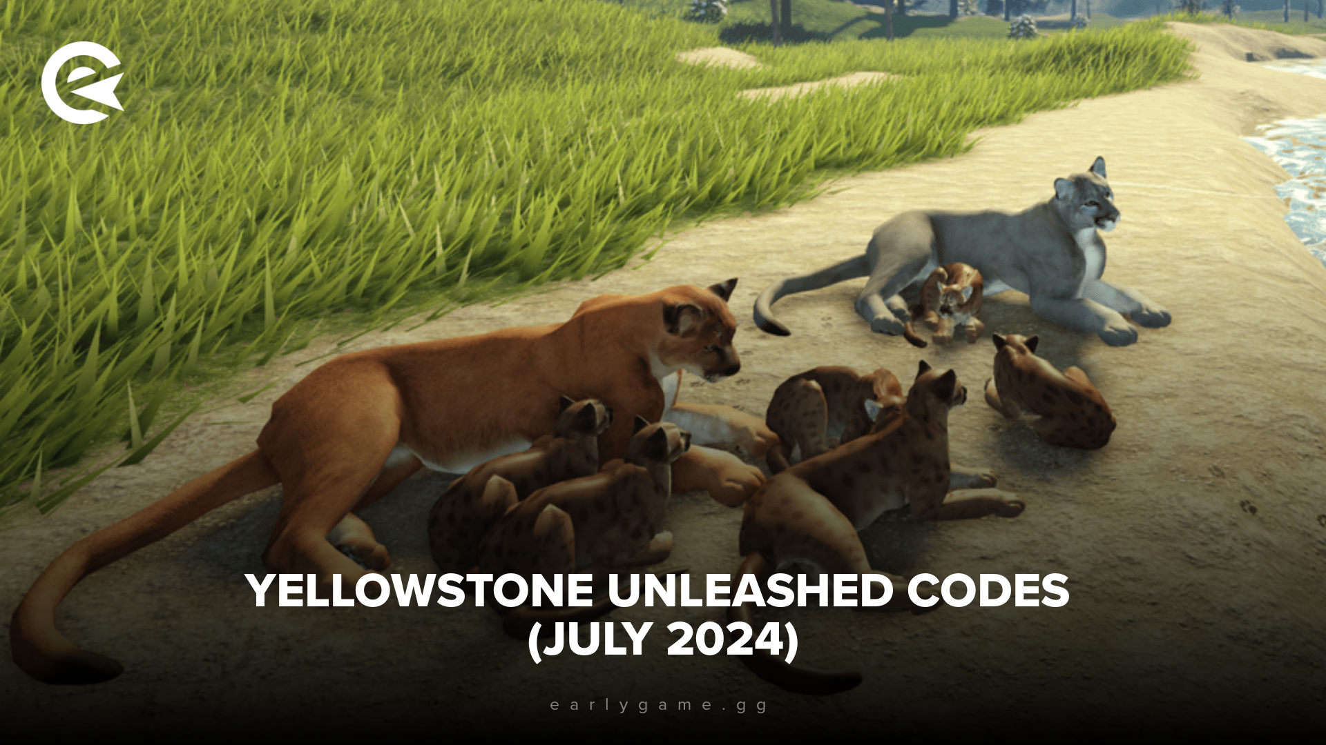 Yellowstone Unleashed Codes (July 2024)