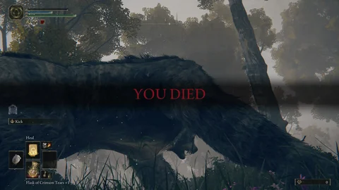 You died