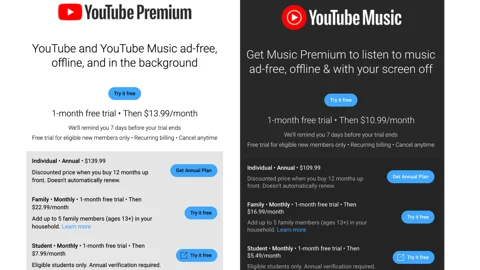 You Tube Premium And Music Increased Prices