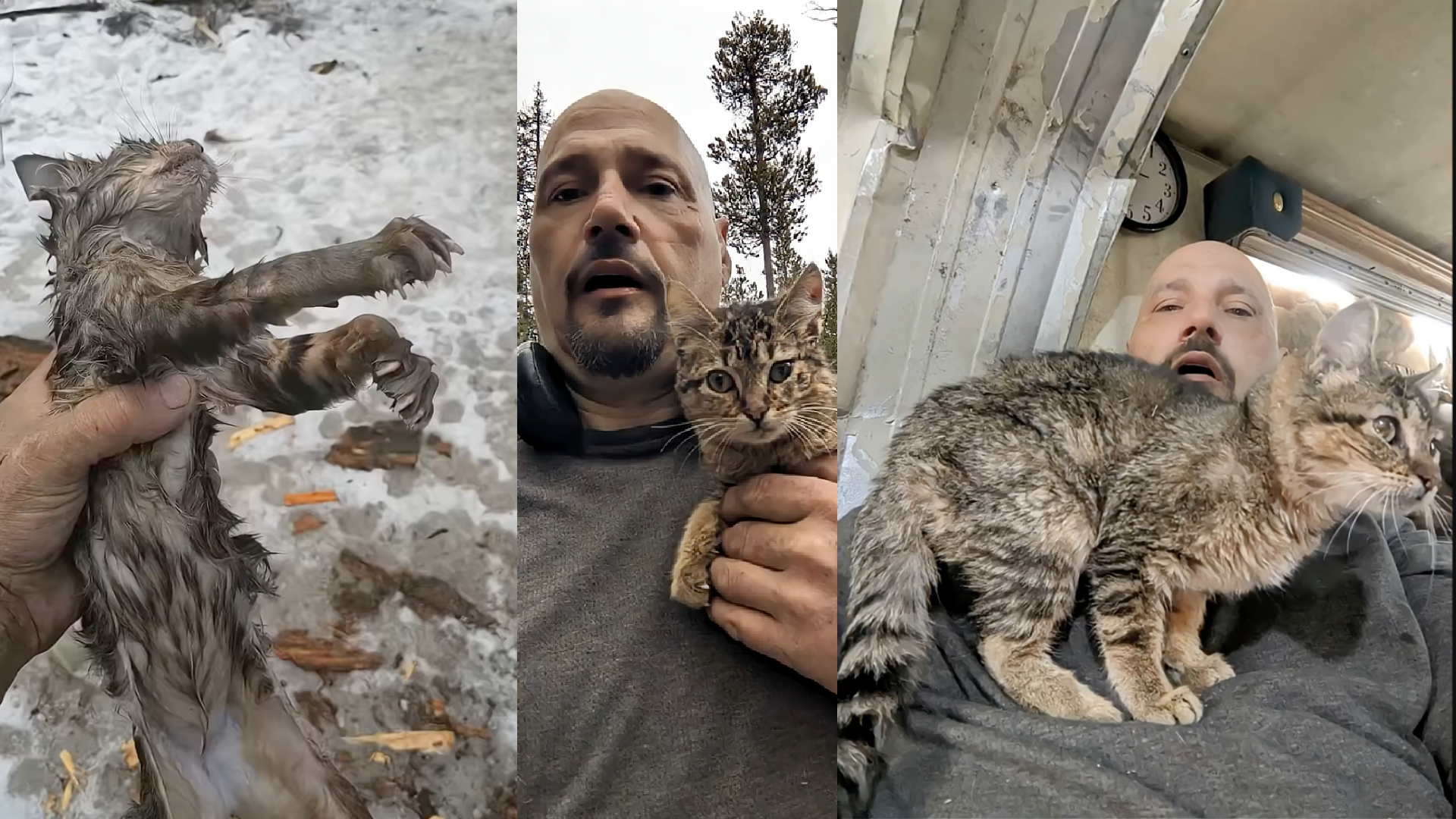 You Tuber rettet Katze