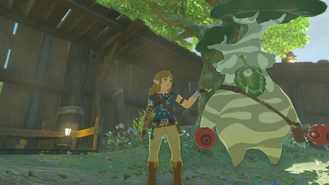 Zelda Tears of the Kingdom Hestu Lookout Landing