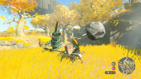 Zelda Tears of the Kingdom Weapon Fused