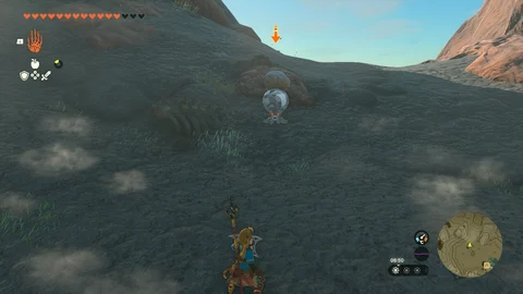 Zelda totk octorok