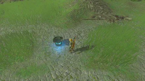 Zelda totk portable pot