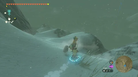 Zelda totk shield surf