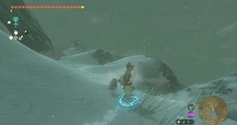 Zelda totk shield surf