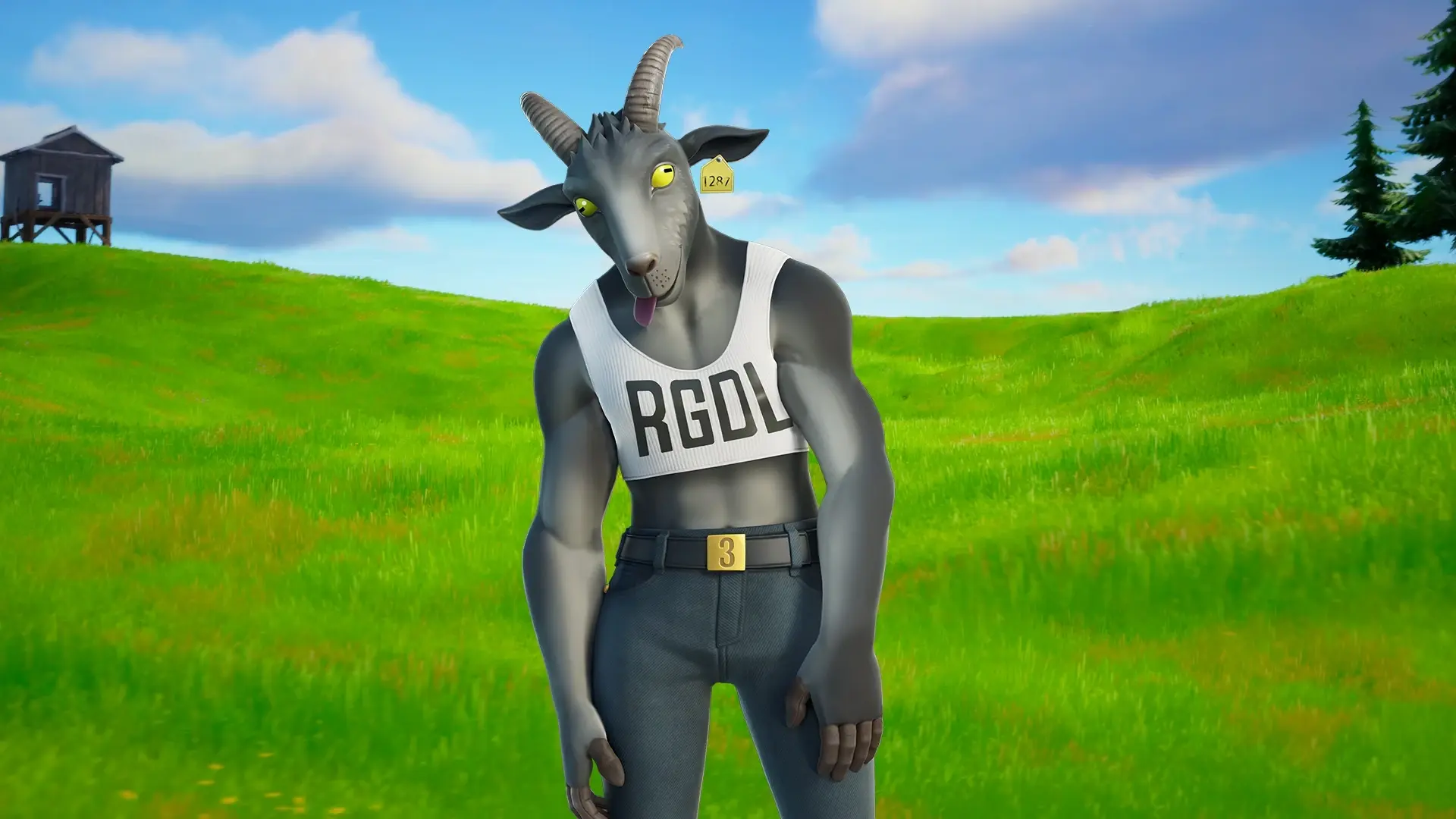 A goat