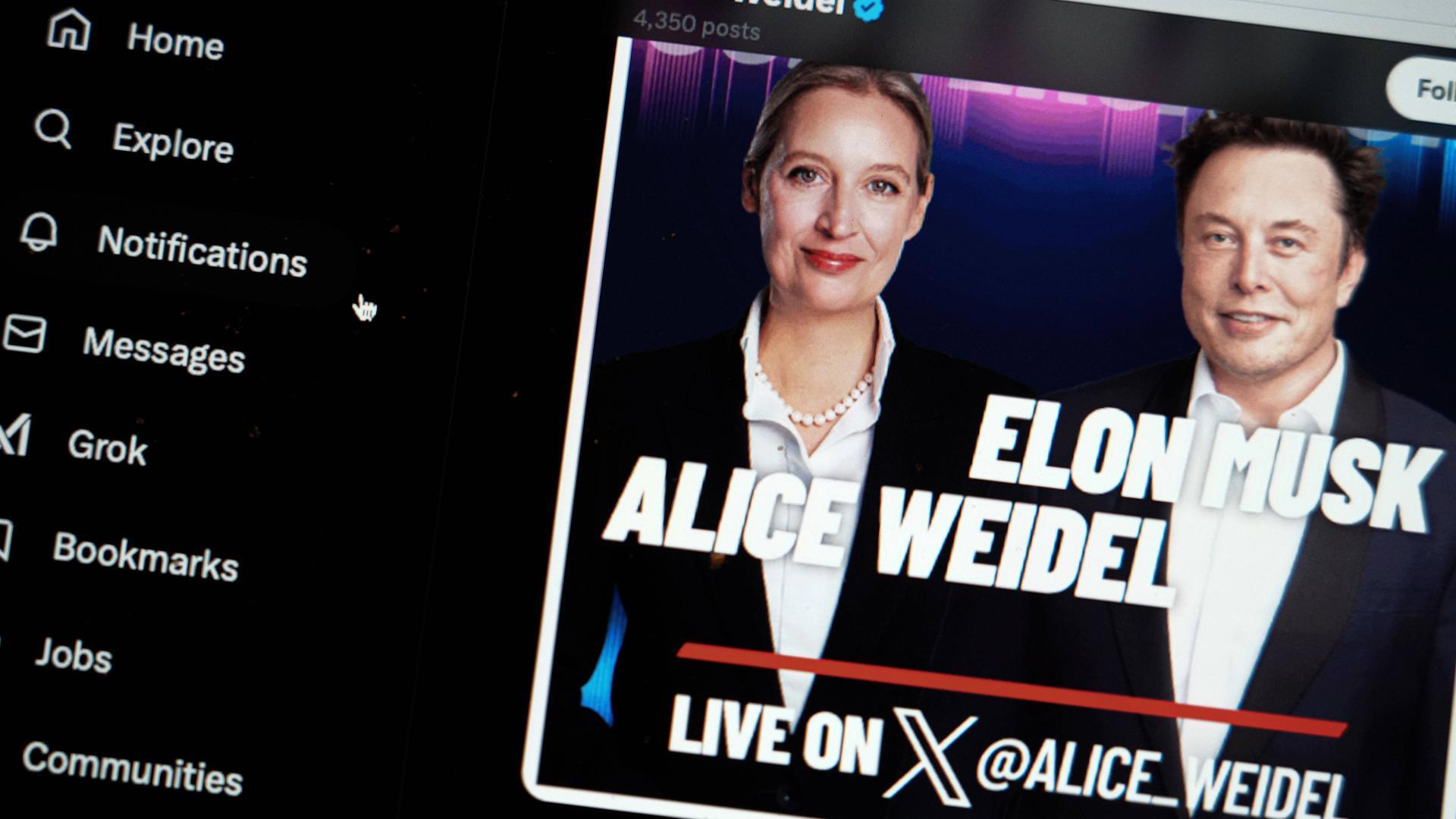 Afd weidel musk 100 1920x1080