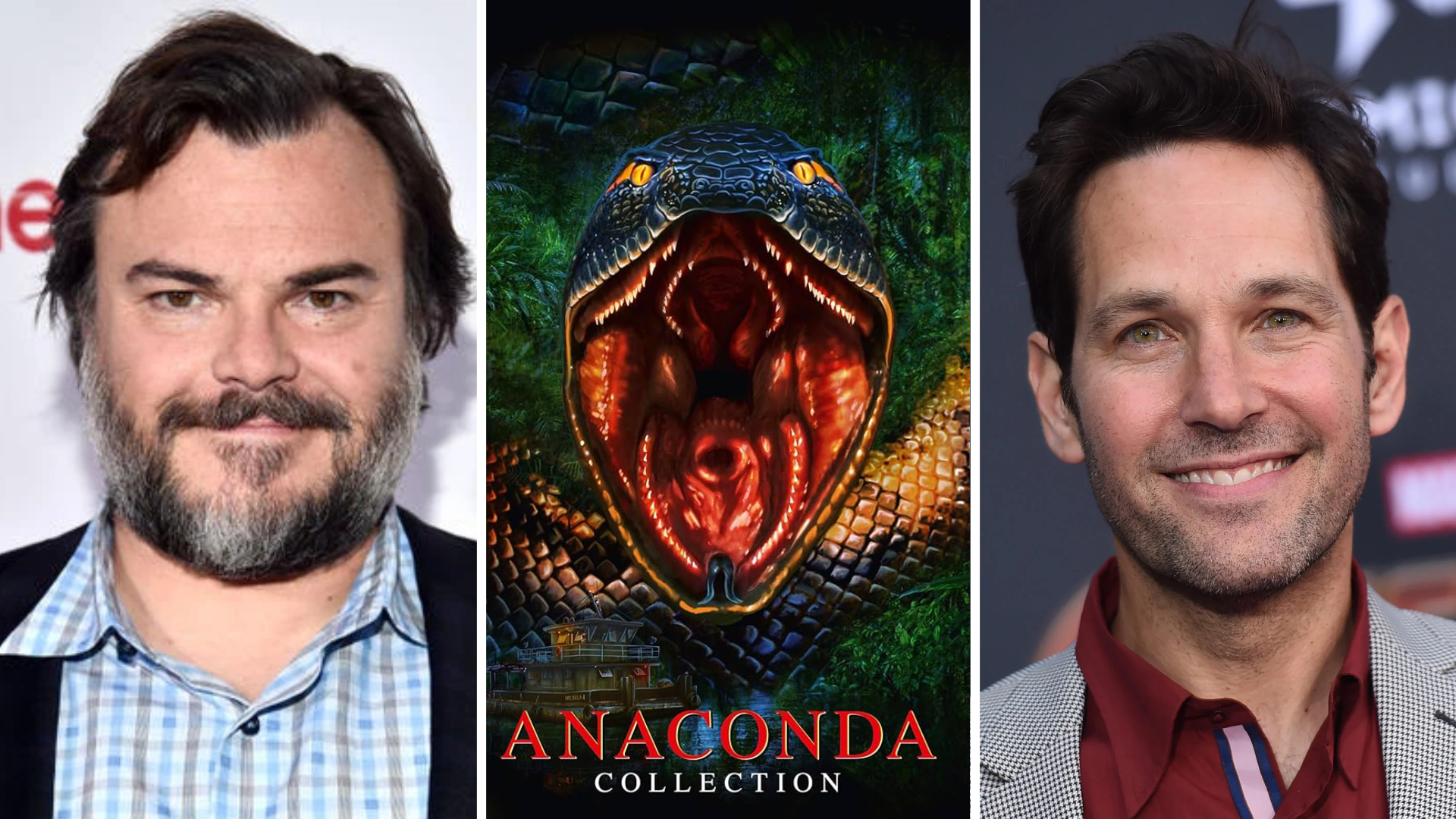 A New Anaconda Movie Starring Jack Black And Paul Rudd Is Reportedly On The Way