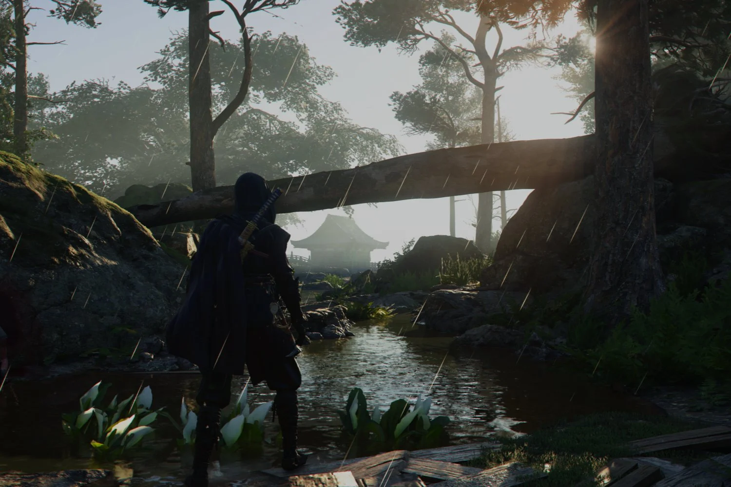 Assassins creed ray