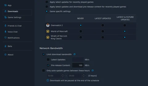 Battle.Net 2022 - How To Disable & Adjust Download Speed Limit 