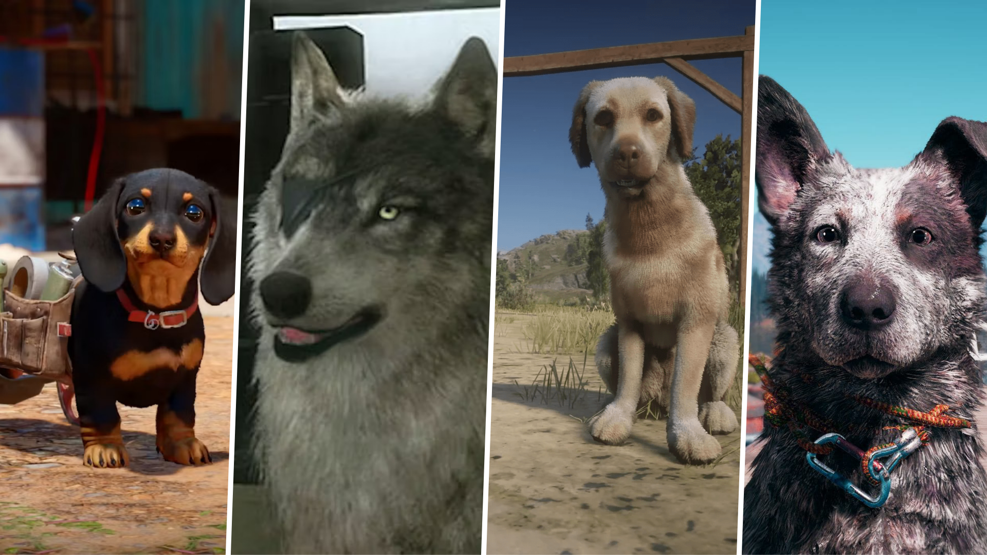 Best doggos