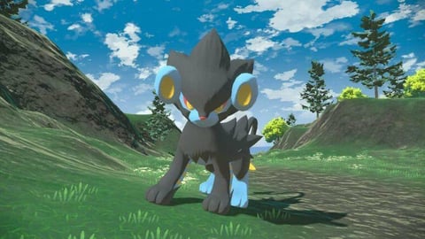 Best pokemon luxray