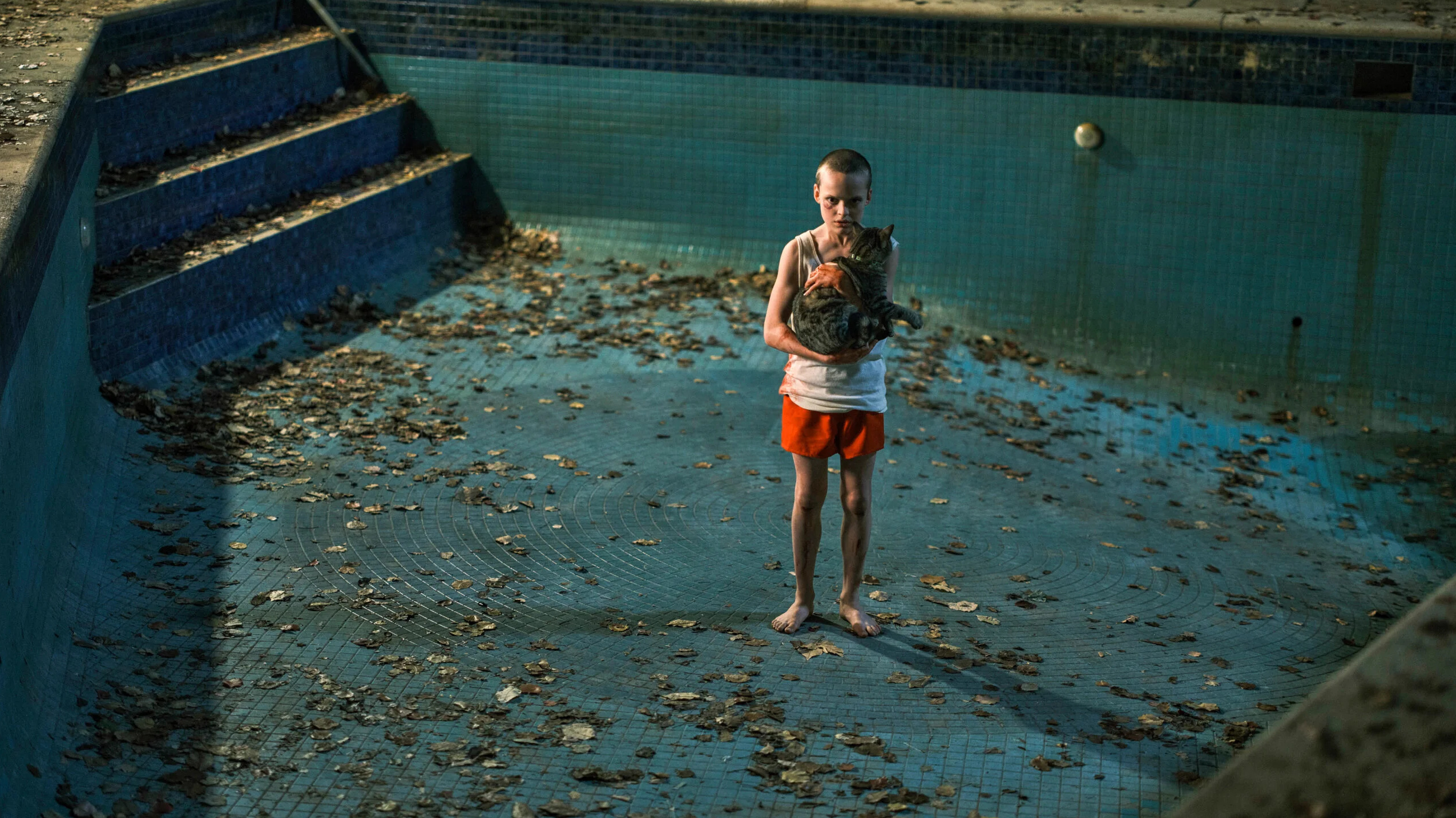 Bring her back cropped processed by imagy