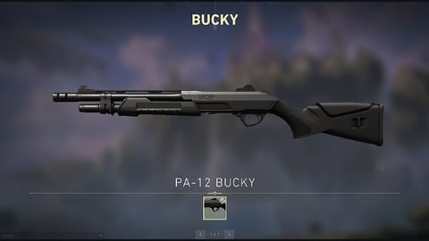 Bucky valorant