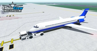 Cabin crew