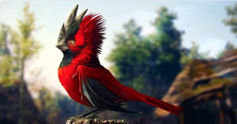 Cd projekt red bird