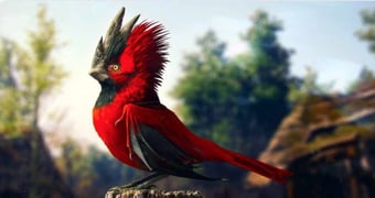 Cd projekt red bird