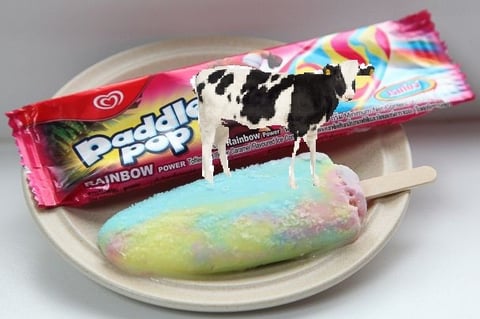 Cow on a paddle pop stick