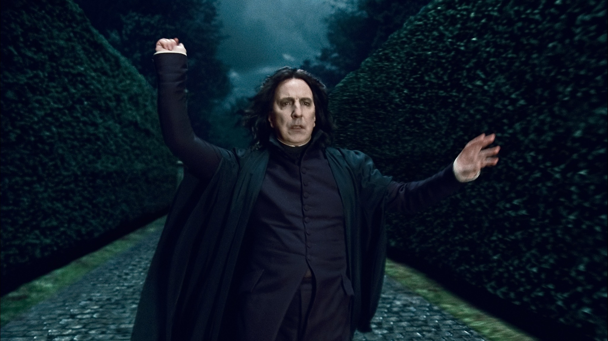 Cropped Alan Rickman Severus Snape