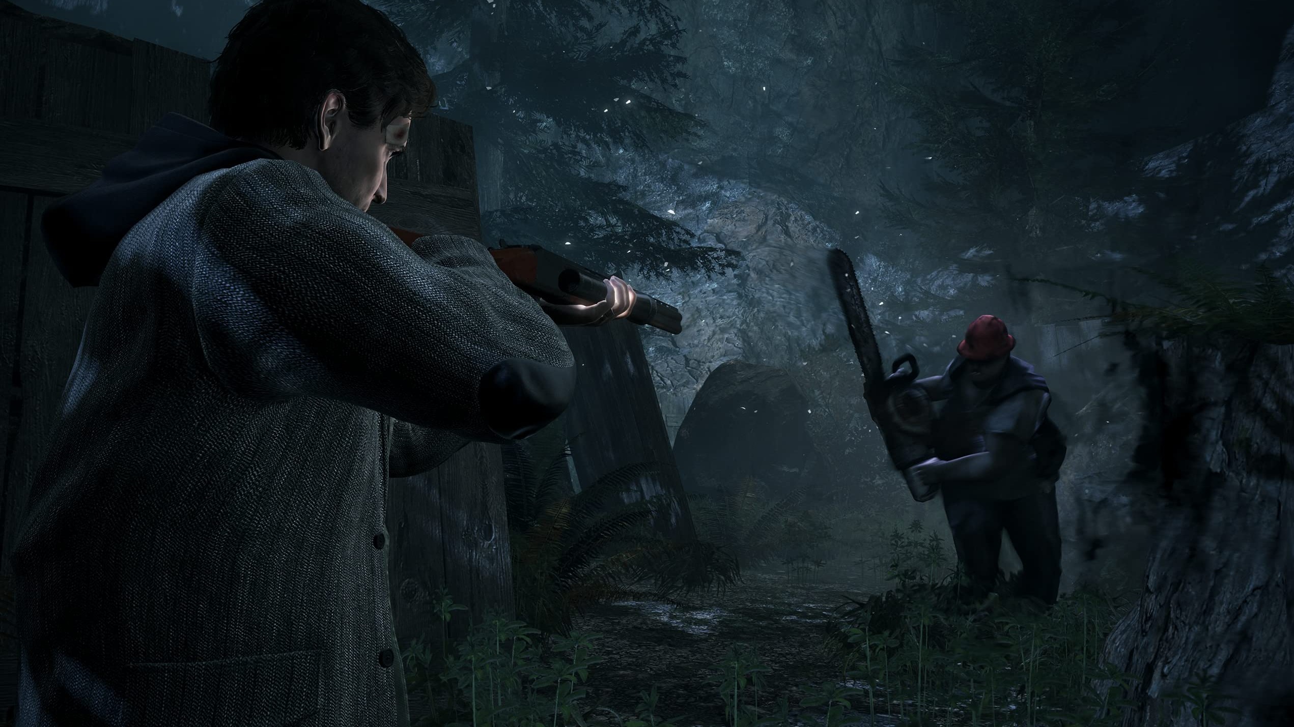 Cropped Alan Wake