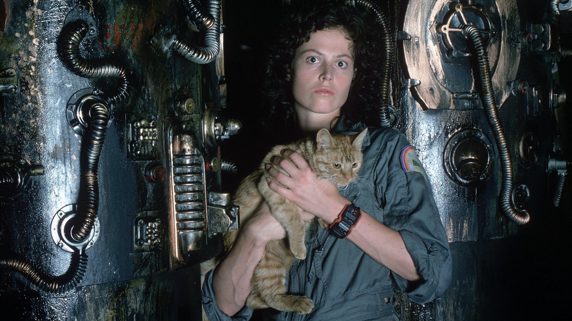 Cropped Alien 1979