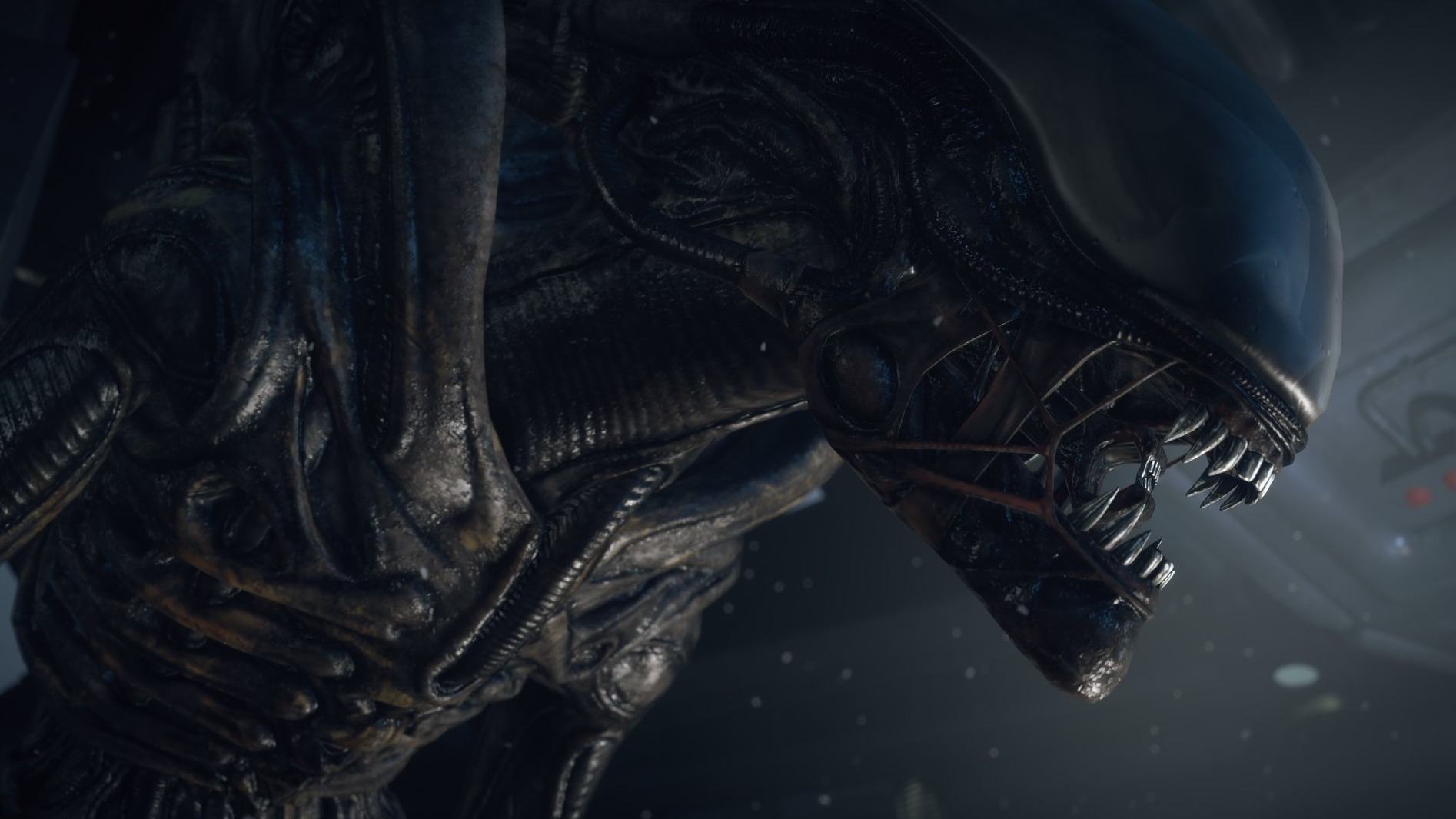 Cropped Alien Isolation 2