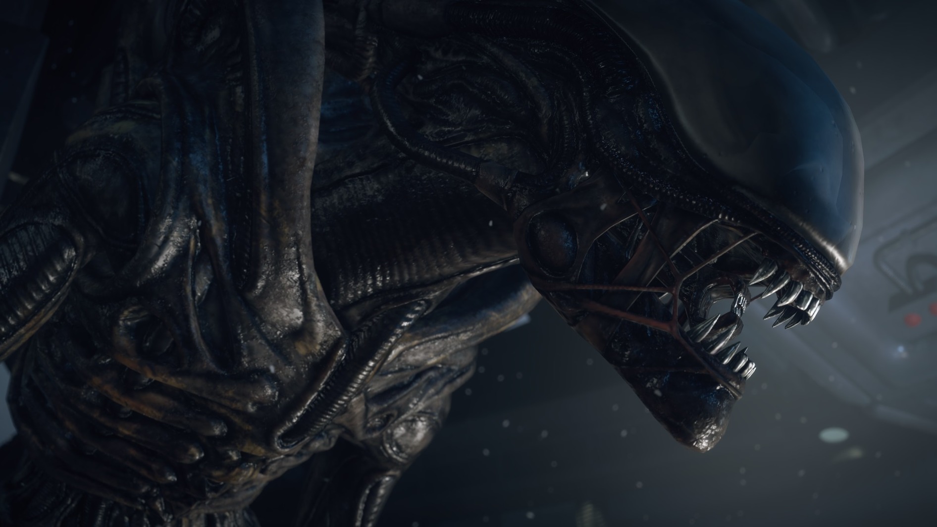 Cropped Alien Isolation