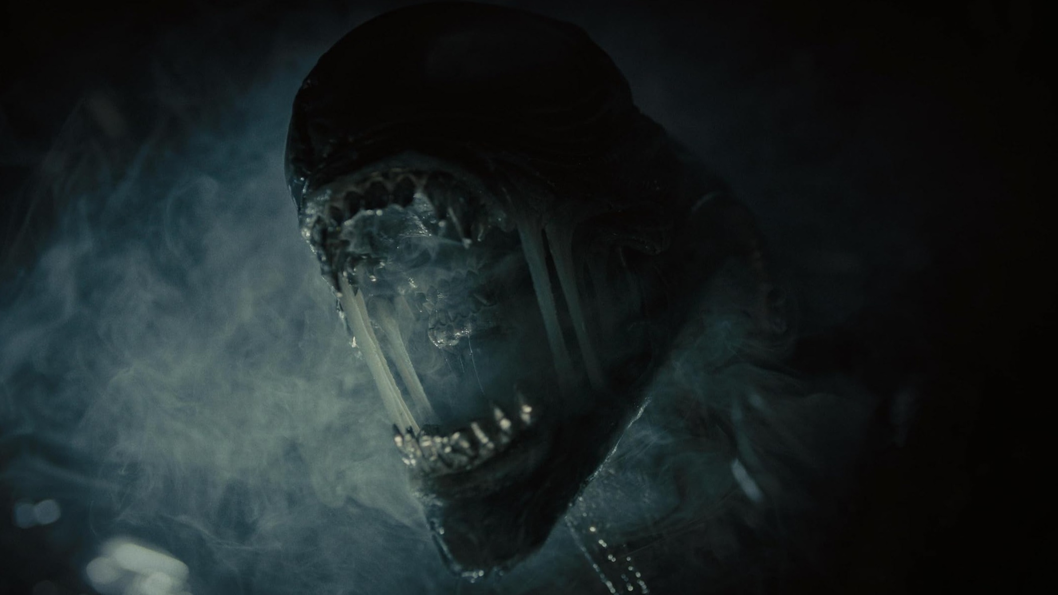 Cropped Alien Romulus