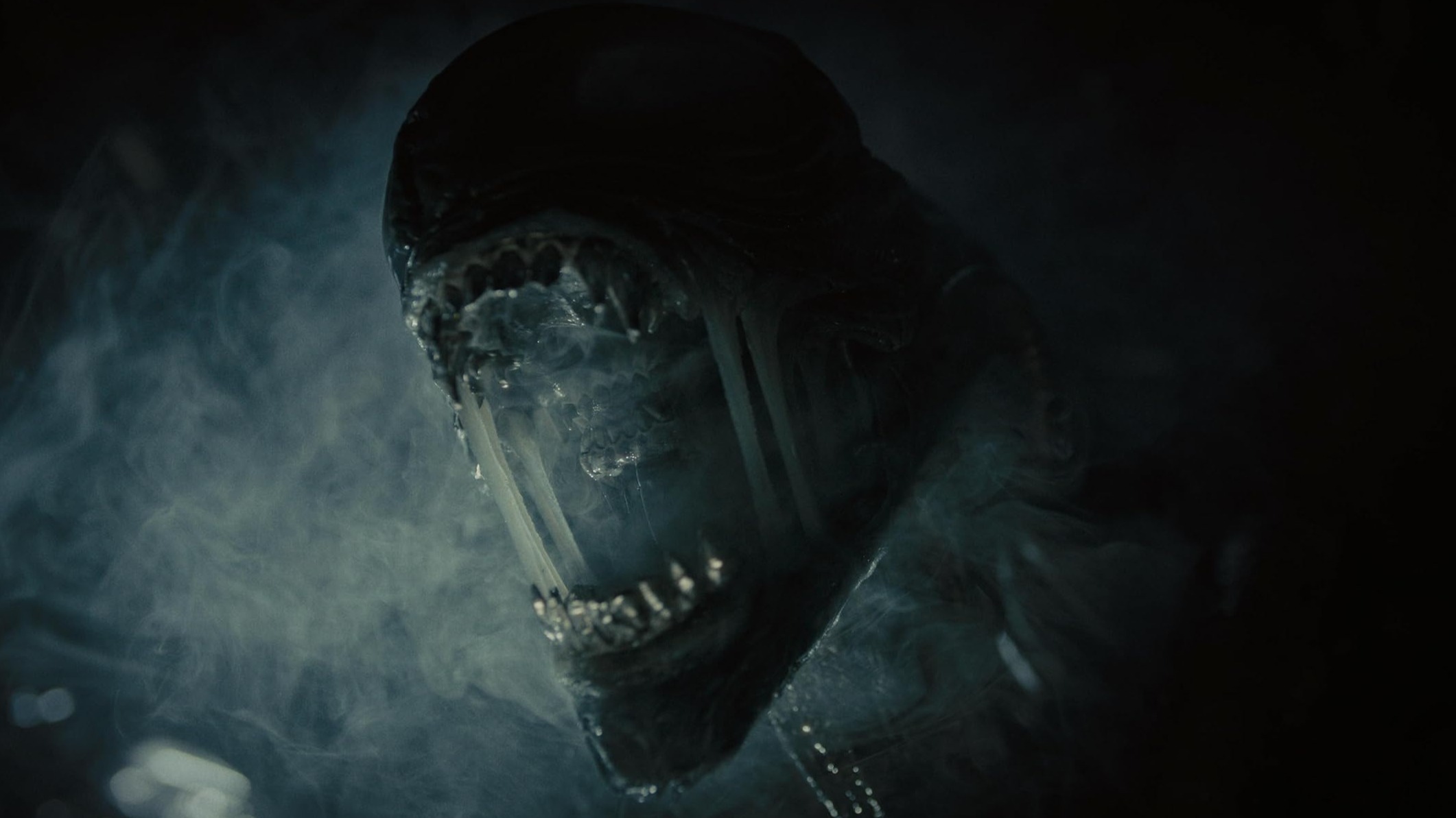 Cropped Alien Romulus