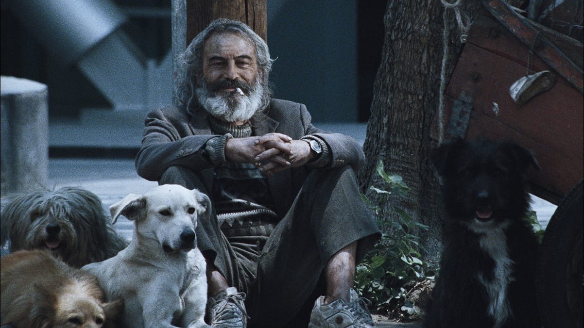 Cropped Amores Perros