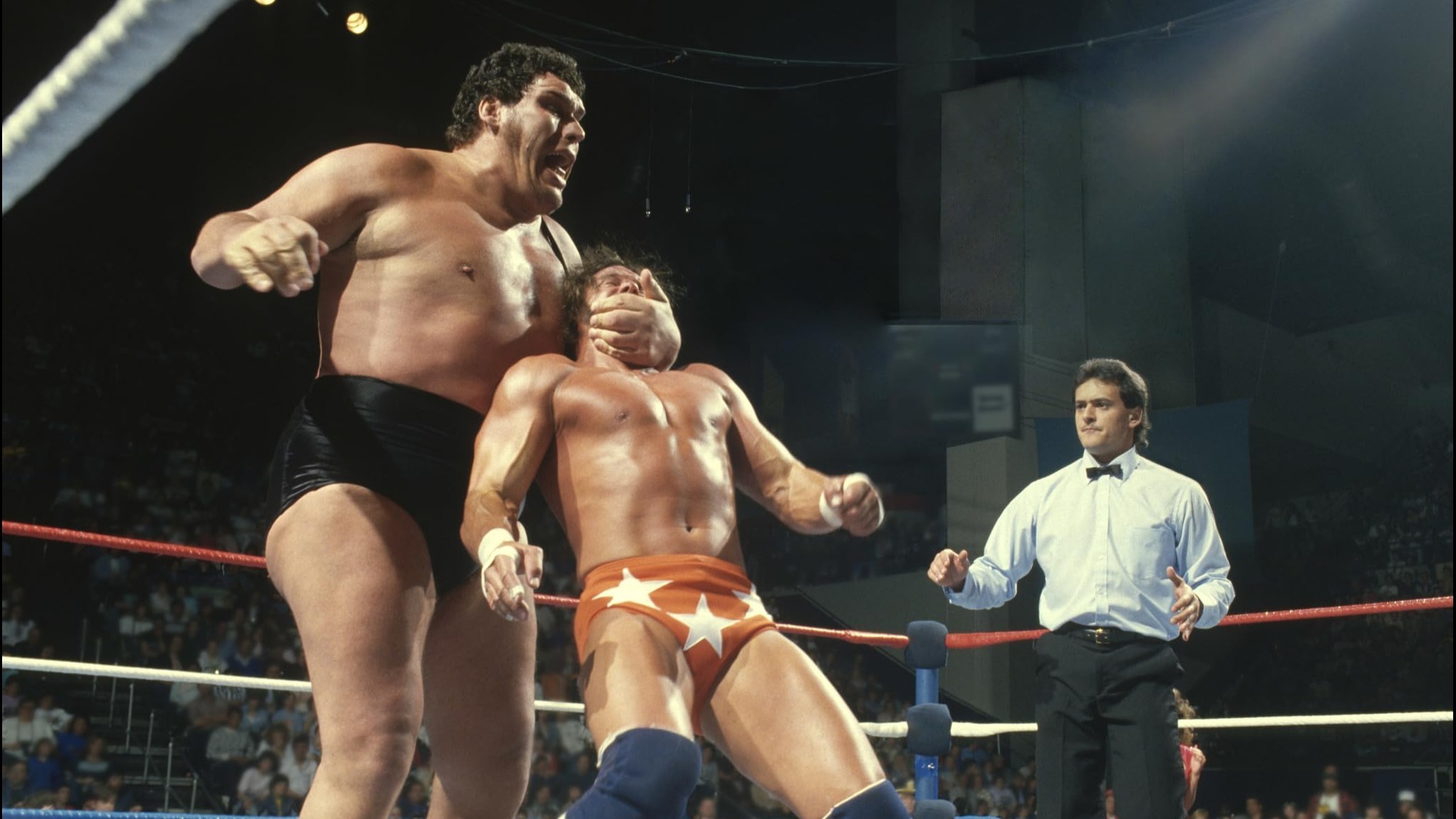 Cropped Andre the Giant