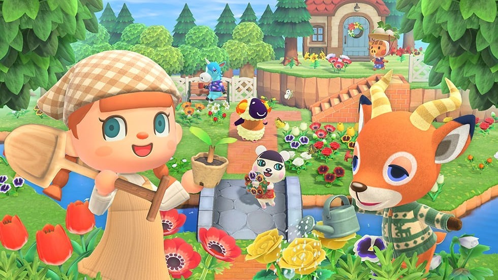 Cropped Animal Crossing New Horizons