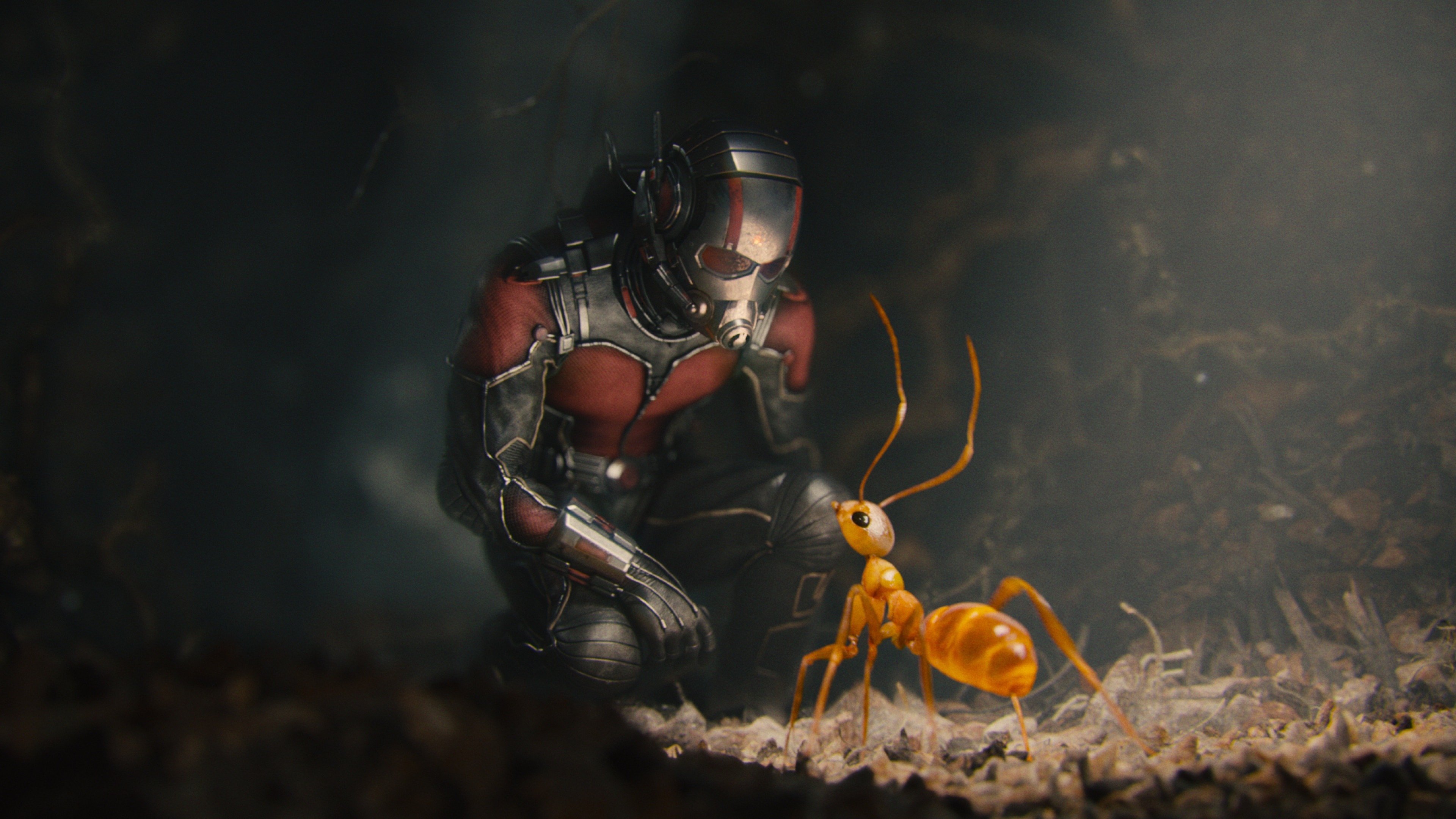 Cropped Ant Man