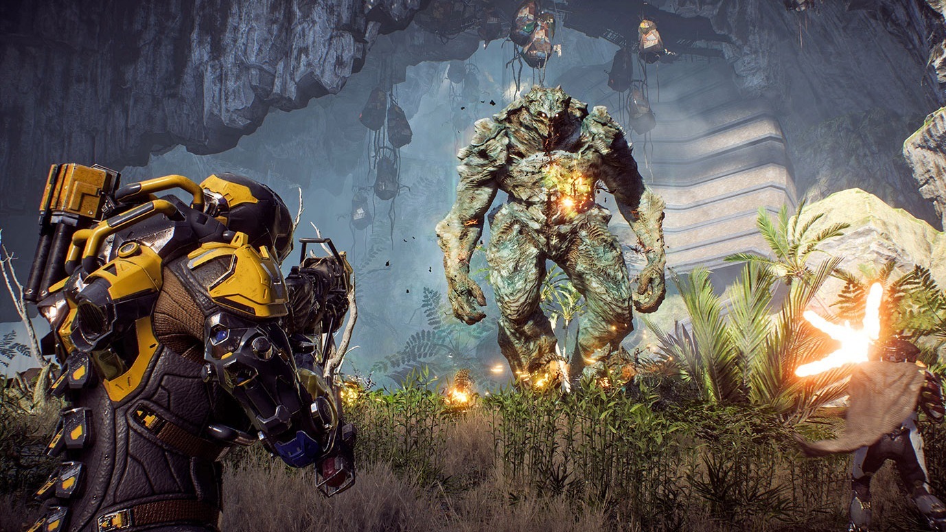 Cropped Anthem