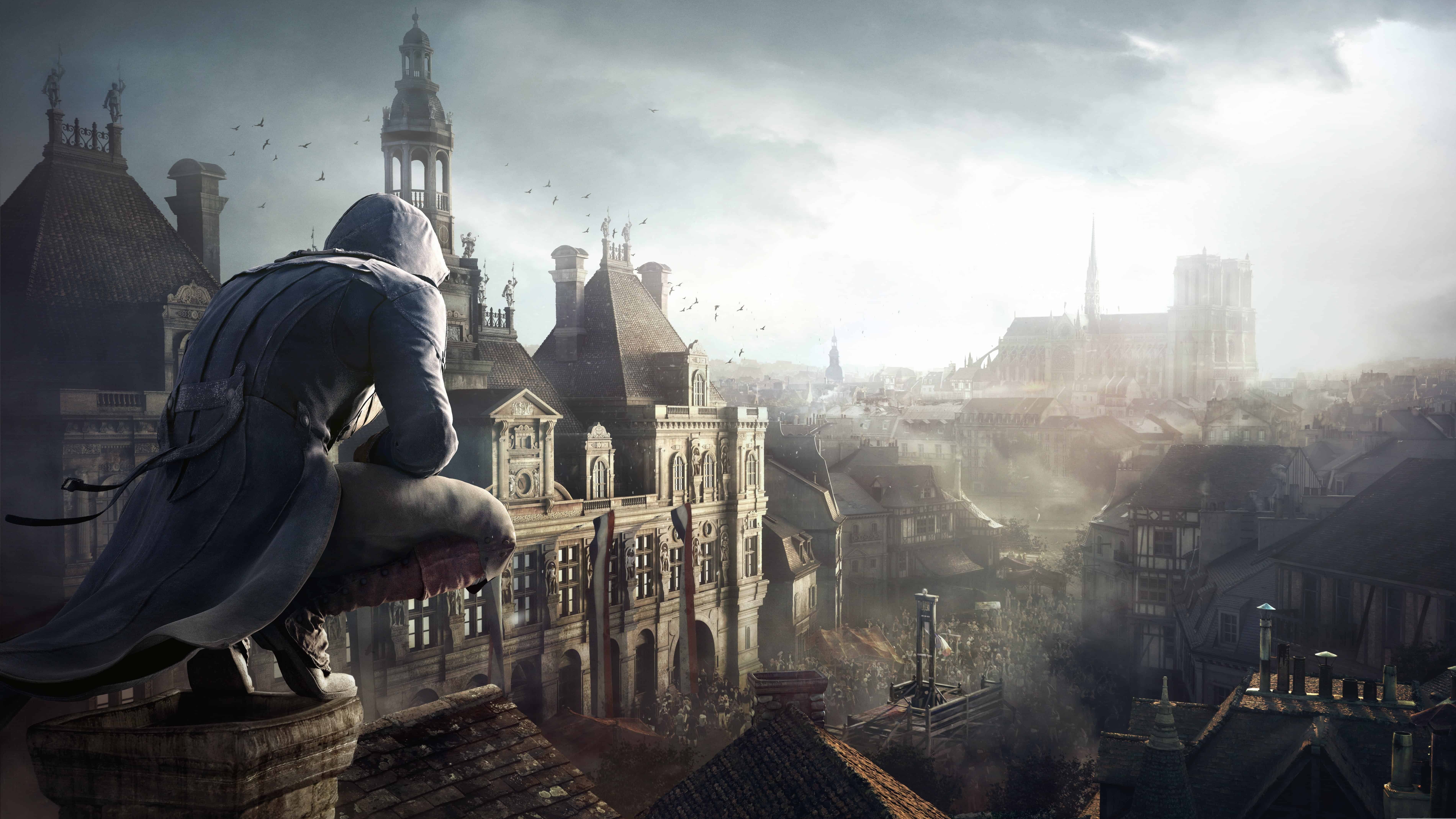 Cropped Assassins Creed Unity