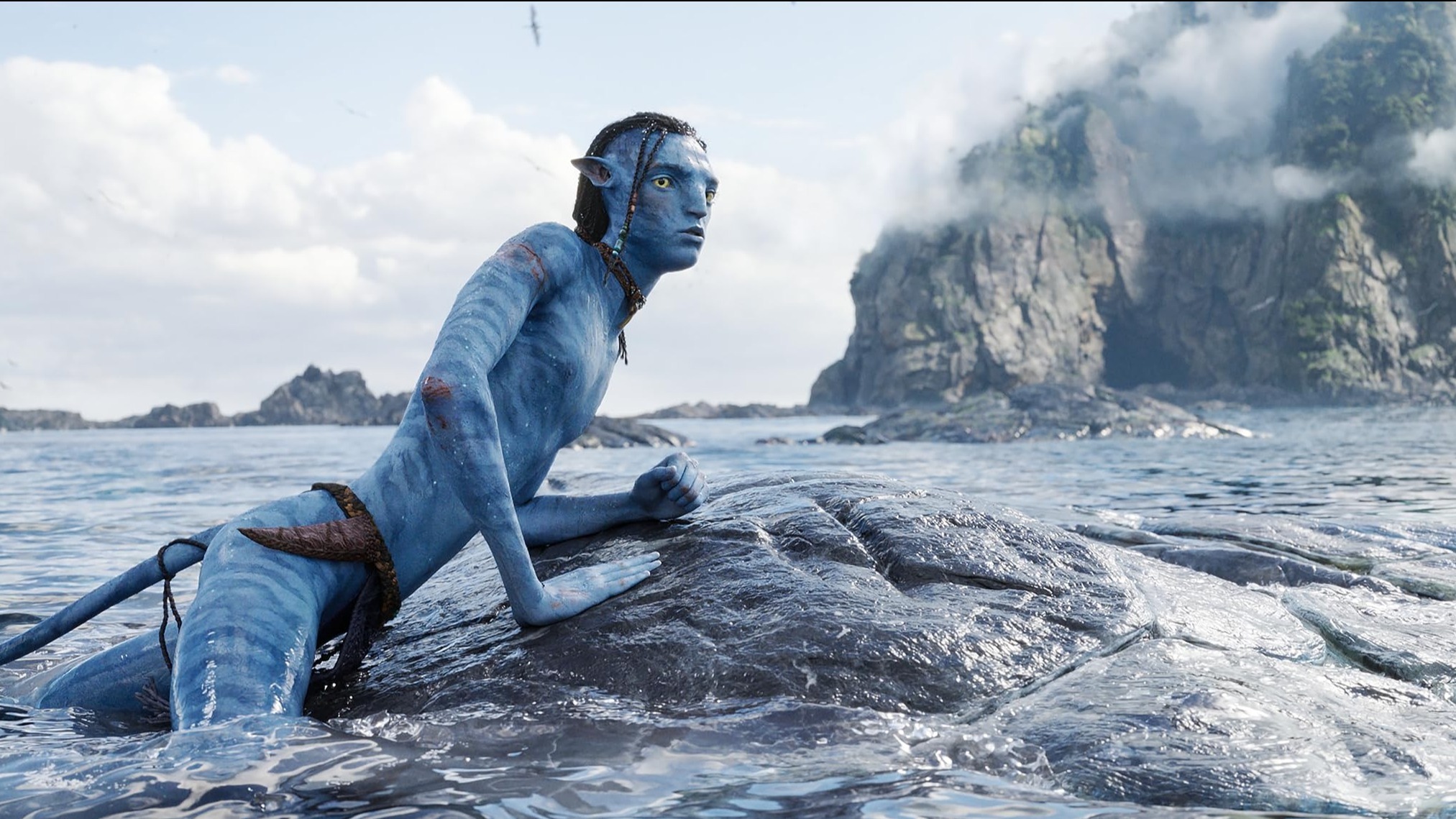 Cropped Avatar The Way of Water