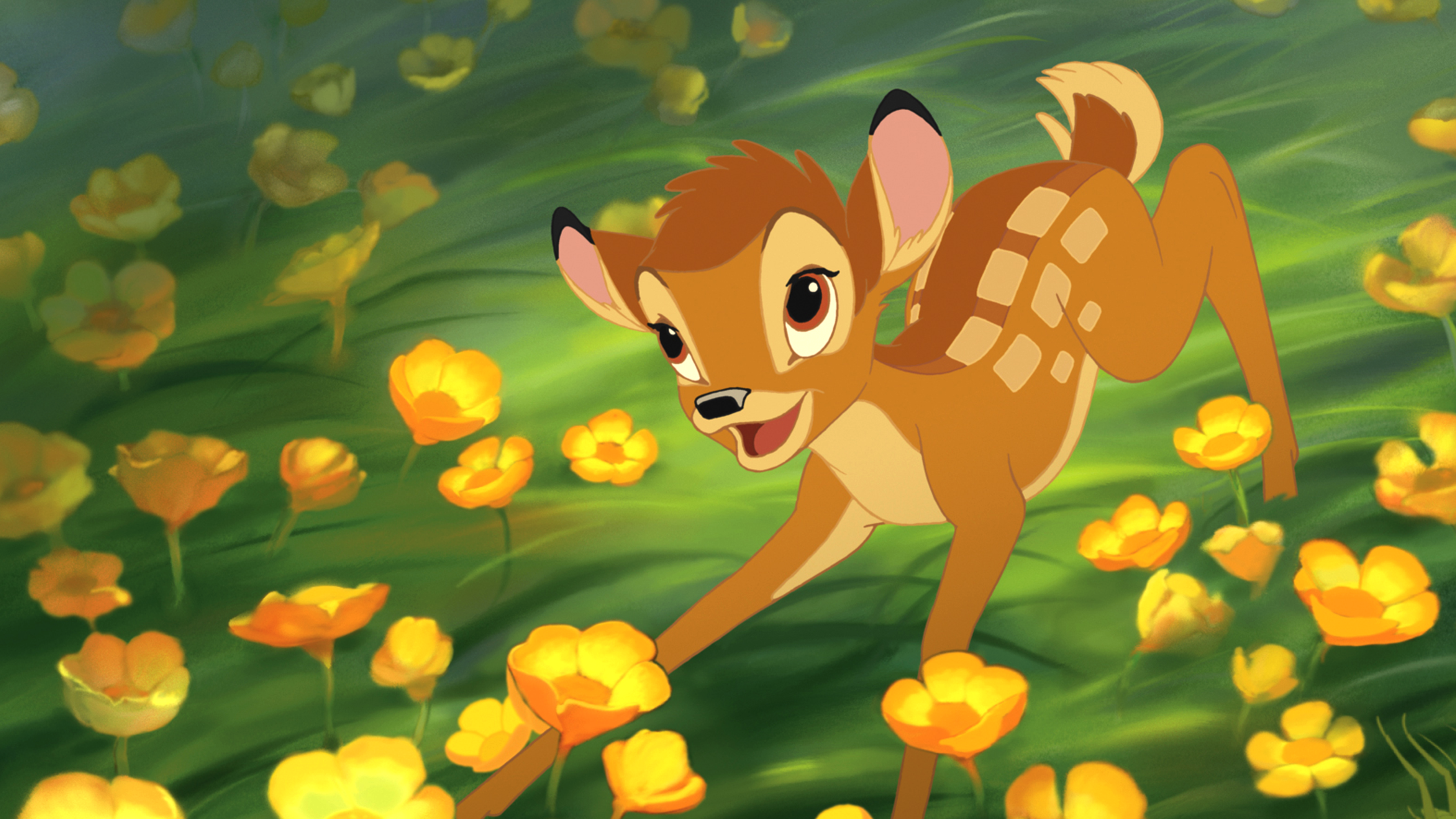 Cropped Bambi 2