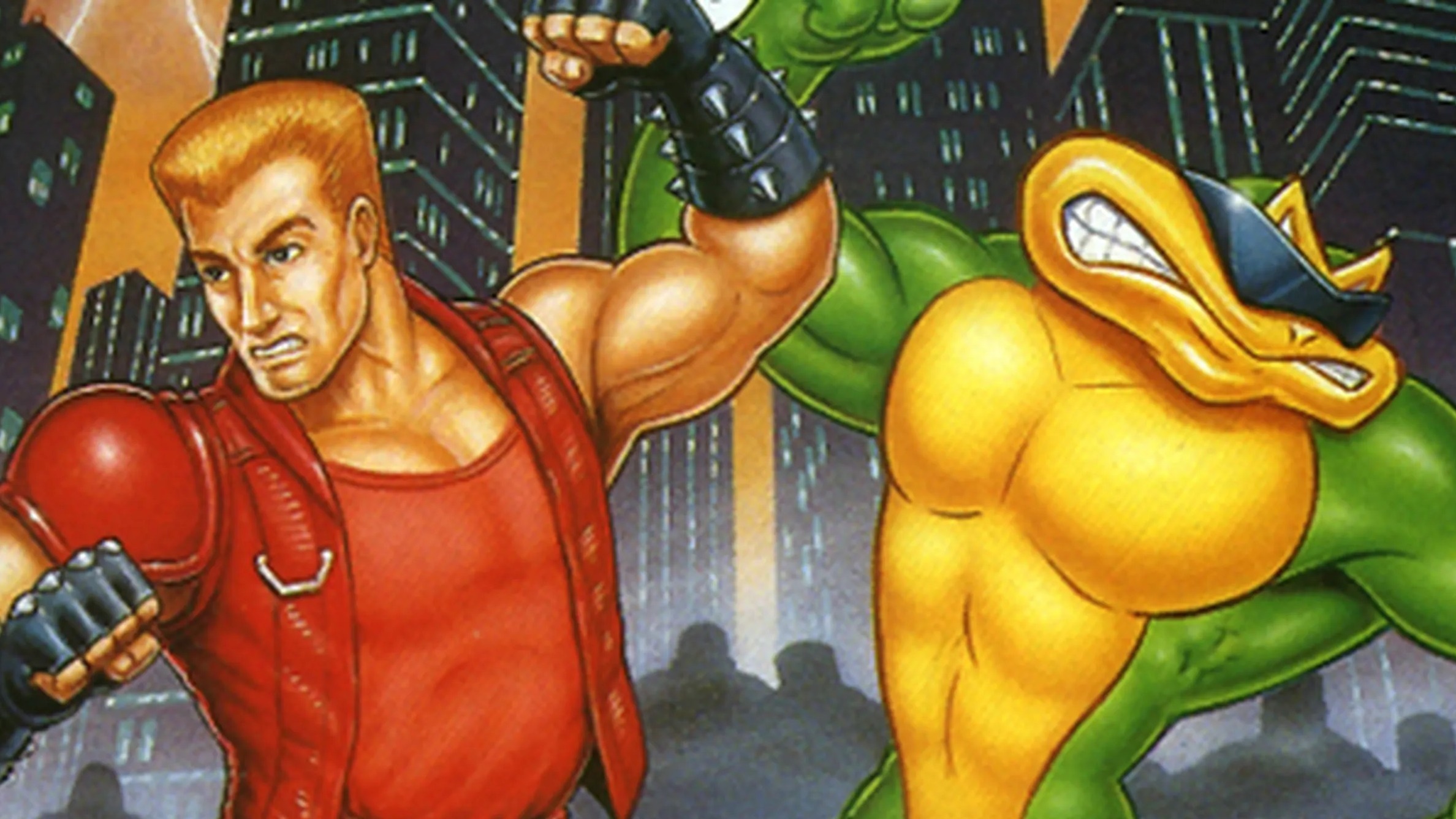 Cropped Battletoads Double Dragon