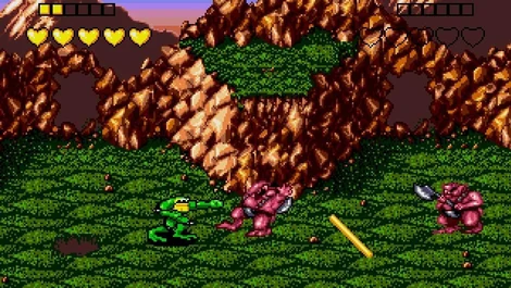 Cropped Battletoads