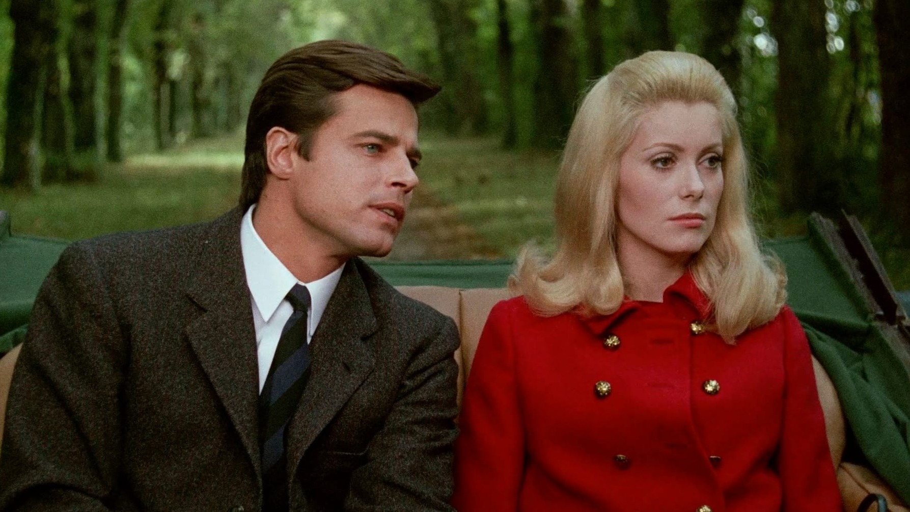 Cropped Belle de Jour
