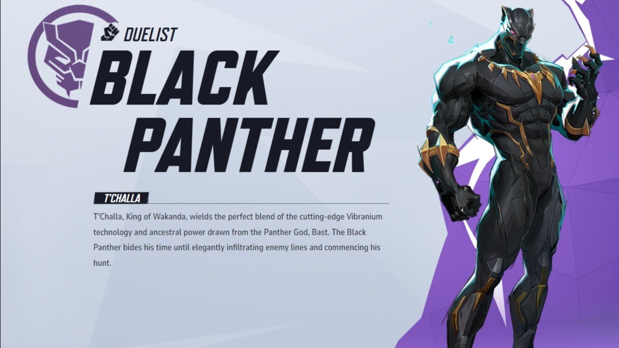Cropped Black Panther