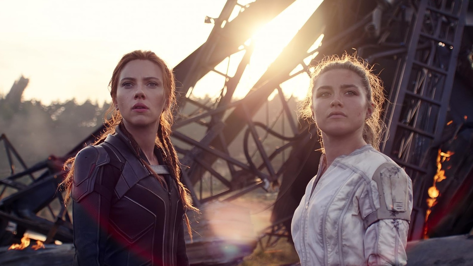 Cropped Black Widow