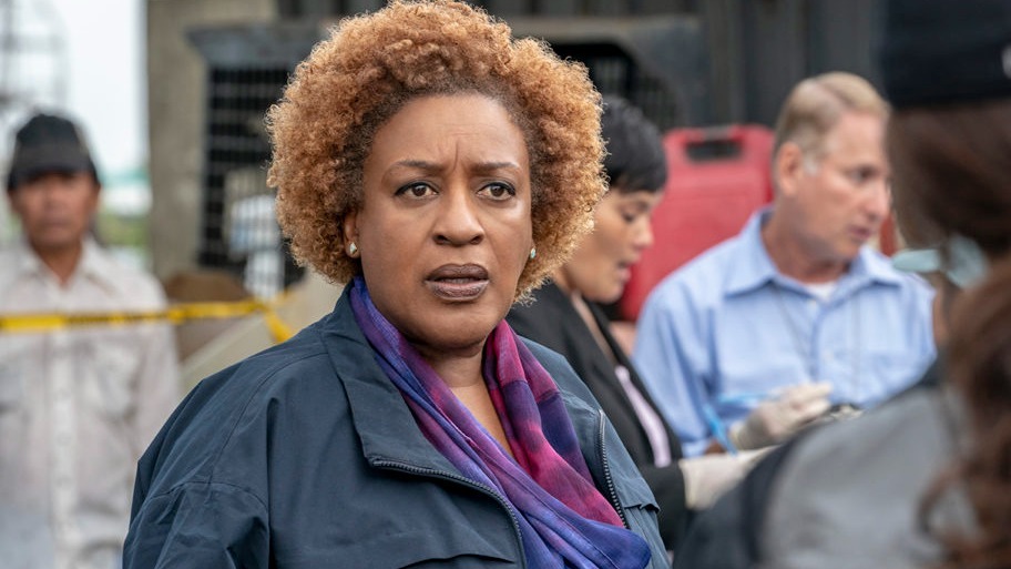 Cropped CCH Pounder ncis new orleans