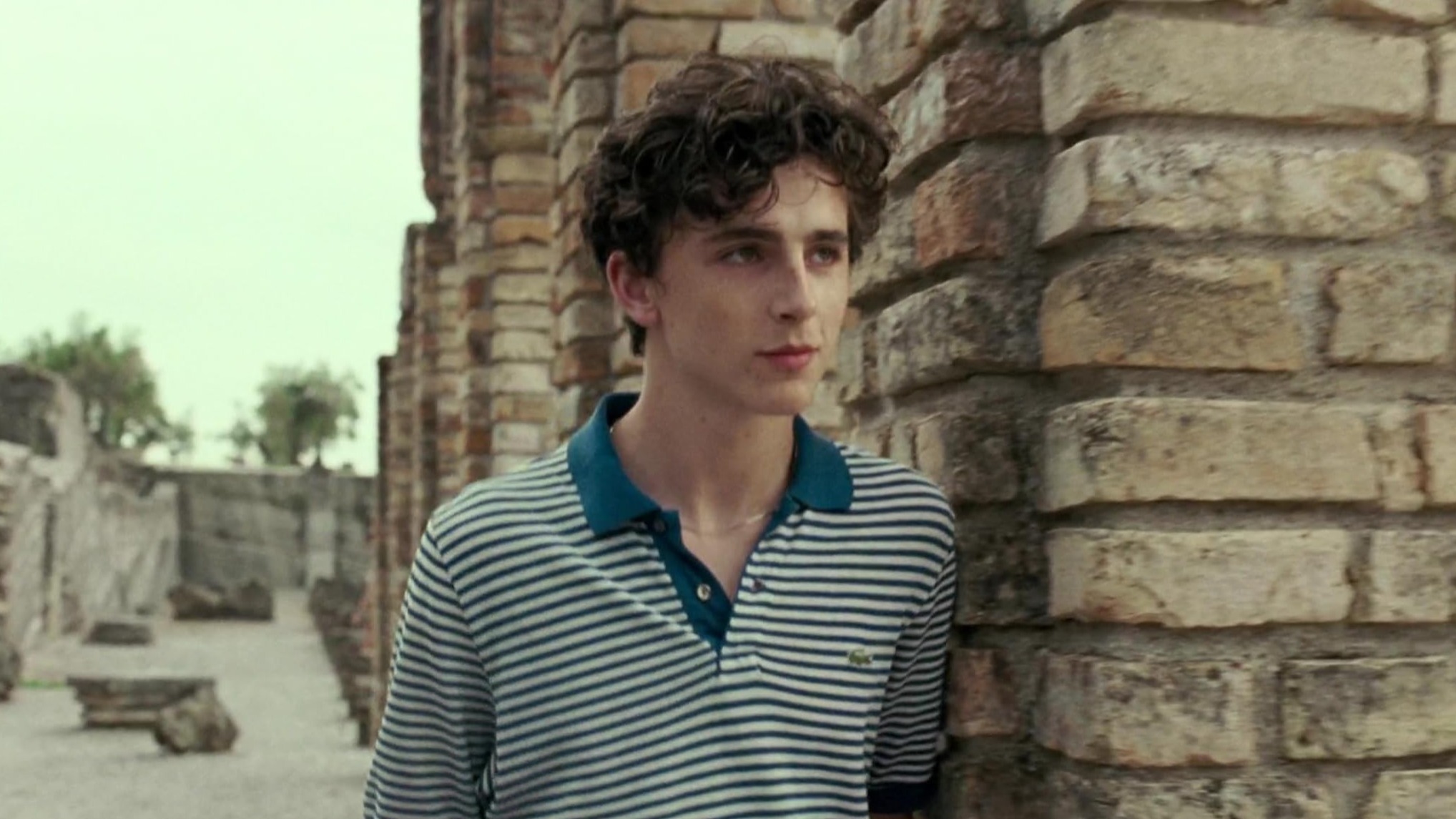 Cropped Call Me by Your Name