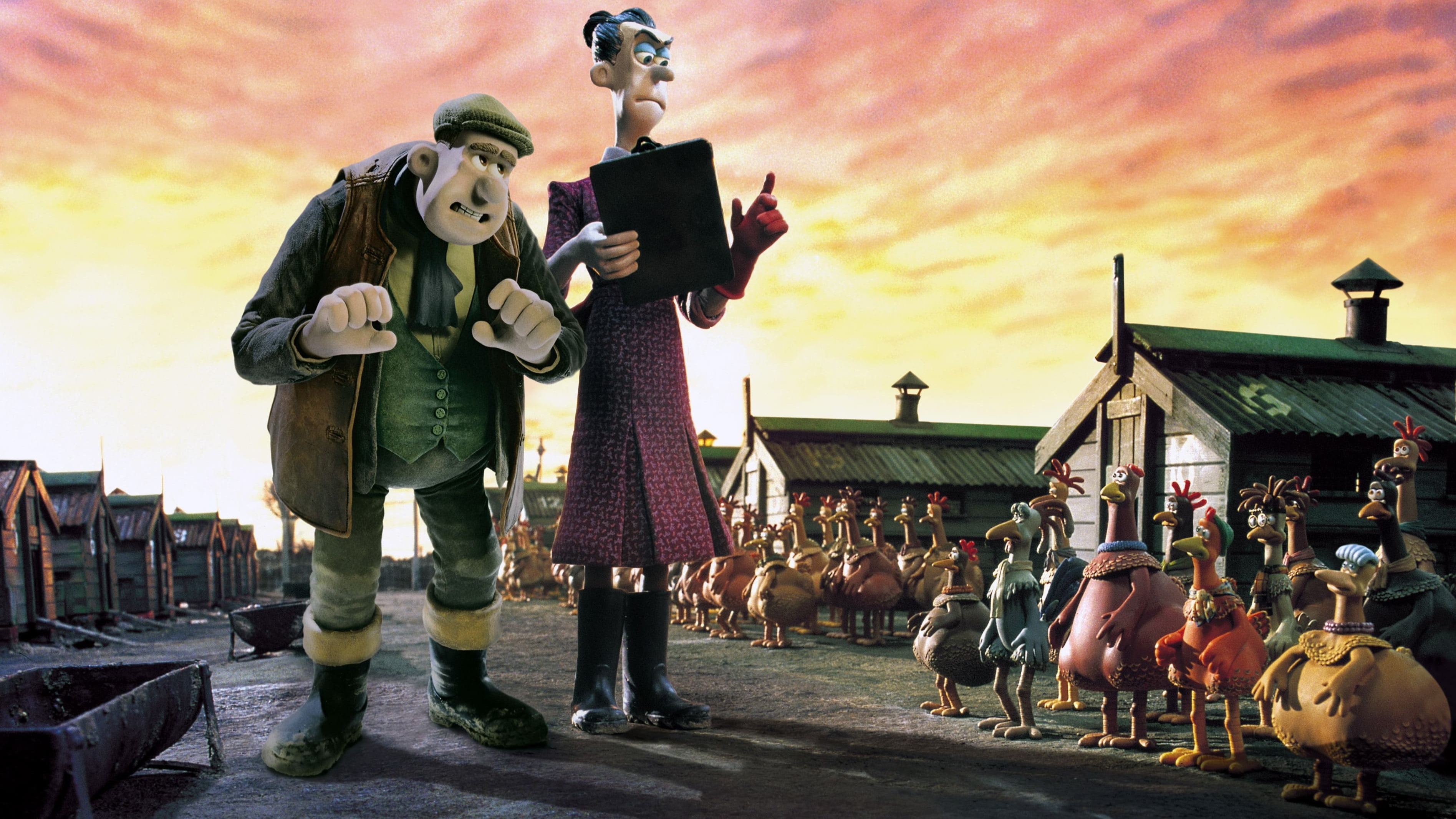 Cropped Chicken Run